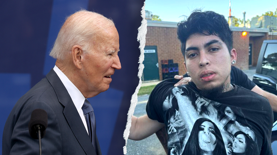 Illegal immigrant released under Biden accused of stabbing Virginia mother, dousing her in gasoline Illegal immigrant released under Biden accused of stabbing Virginia mother, dousing her in gasoline