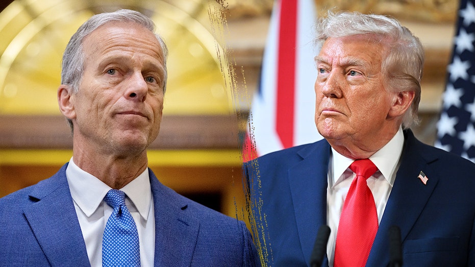 Trump urged to stop targeting fellow Republicans as GOP fights to keep majority Trump urged to stop targeting fellow Republicans as GOP fights to keep majority