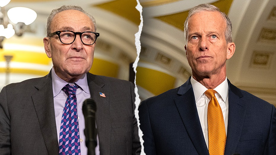 Democrats blink as Schumer helps GOP clear key shutdown hurdle Democrats blink as Schumer helps GOP clear key shutdown hurdle