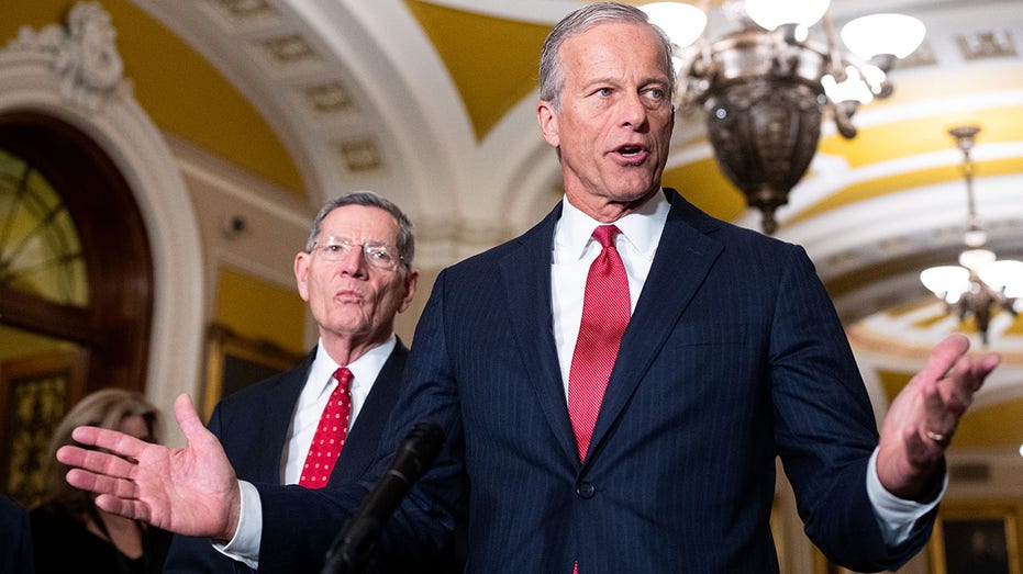 Thune-aligned groups unleash historic war chest to defend Senate majority: ‘Winning message’ Thune-aligned groups unleash historic war chest to defend Senate majority: ‘Winning message’