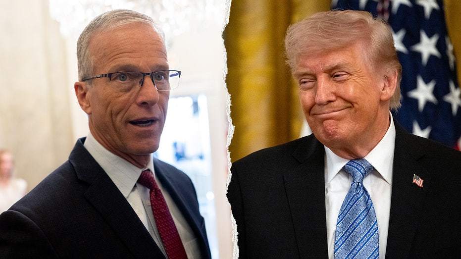 Trump keeps calling Thune despite public fight over SAVE America Act Trump keeps calling Thune despite public fight over SAVE America Act