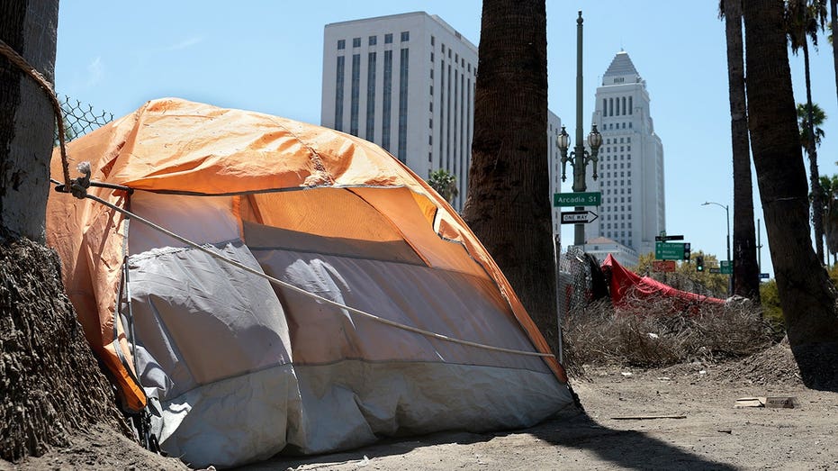 LA homelessness fraud cases expose deeper problem than stolen millions, oversight hawk warns LA homelessness fraud cases expose deeper problem than stolen millions, oversight hawk warns