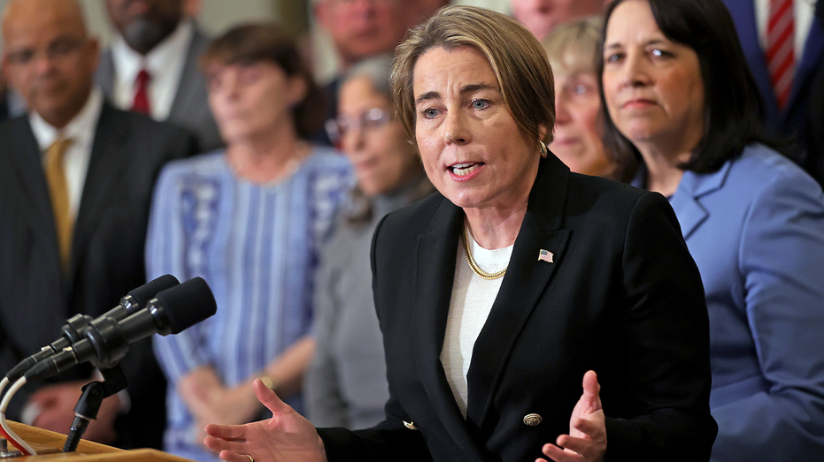 Blue state gov ignites online firestorm with plan to send gov’t into homes of newborn babies: ‘Lunatic libs’ Blue state gov ignites online firestorm with plan to send gov’t into homes of newborn babies: ‘Lunatic libs’