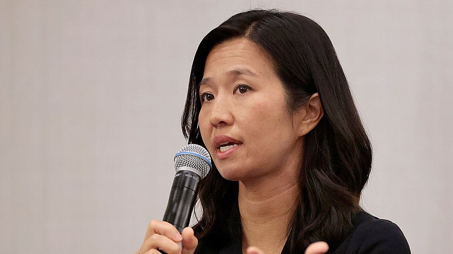 Blue city funds immigrant activist program with taxpayer dollars, critics say it ‘shuts citizens out’ Blue city funds immigrant activist program with taxpayer dollars, critics say it ‘shuts citizens out’
