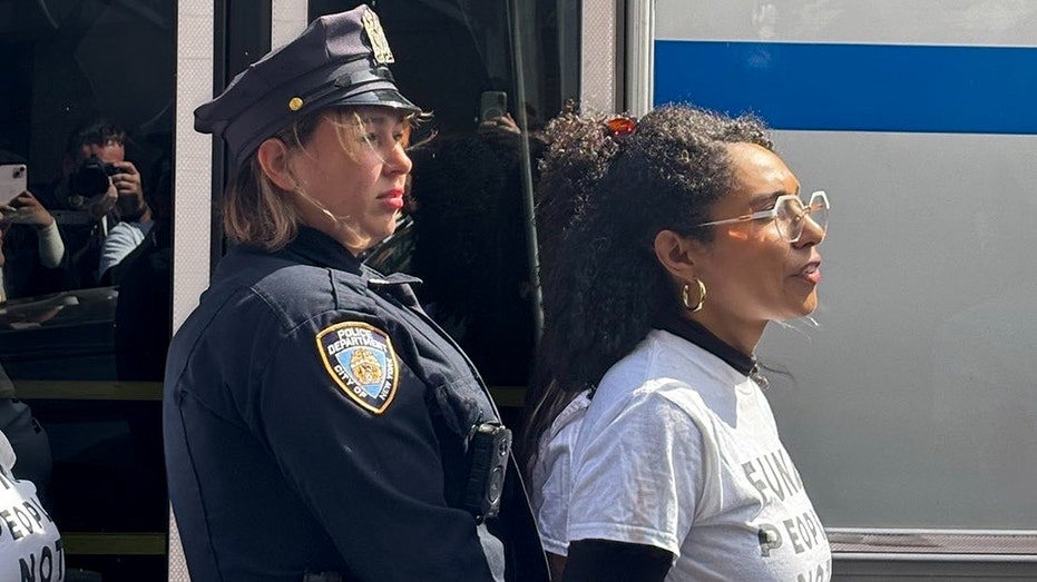 Mamdani-backed socialist arrested at anti-Netanyahu protest outside UN Mamdani-backed socialist arrested at anti-Netanyahu protest outside UN