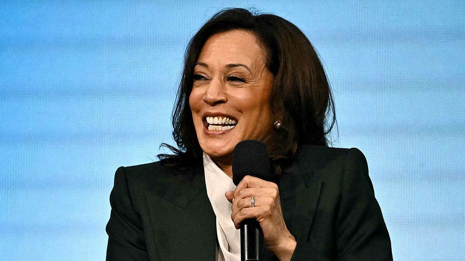 Ex-Dem insider blows lid off fundraising ‘gimmicks’ during 2024 election: ‘Pyramid scheme’