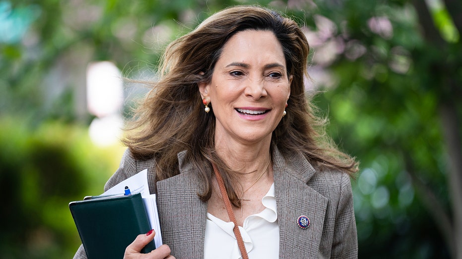 House GOP lawmaker under fire by fellow Republicans after ad bashing Trump on immigration House GOP lawmaker under fire by fellow Republicans after ad bashing Trump on immigration