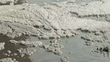 Double Blow For Delhi: Toxic foam returns to Yamuna at Kalindi Kunj, AQI slips to unhealthy Double Blow For Delhi: Toxic foam returns to Yamuna at Kalindi Kunj, AQI slips to unhealthy