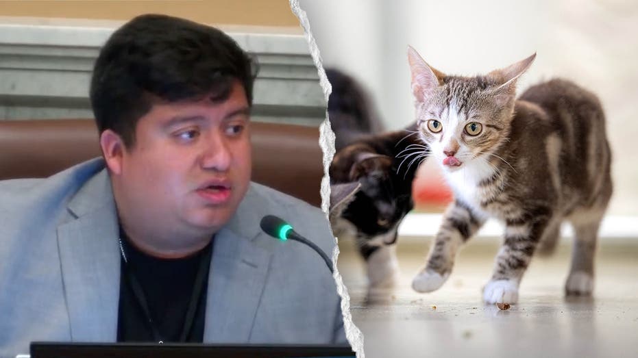 Blue state councilman mocked after claiming self-driving cars are ‘murdering’ pets: ‘Hide your cats’