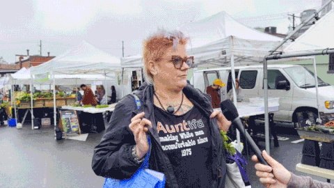 Liberal haven festival-goers weigh government seizure of their homes: ‘I’d be so game’