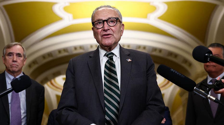 Schumer accused of yearlong plot to plant ‘decoy’ candidate in critical Senate race