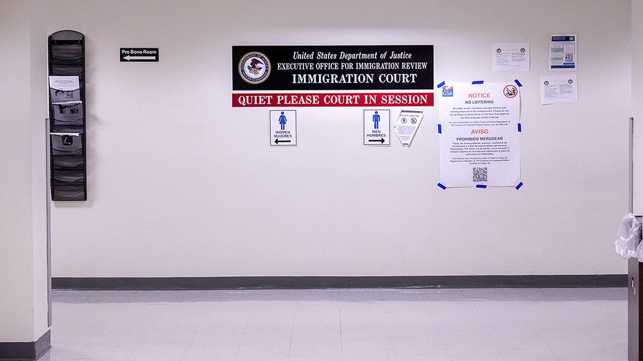 EXCLUSIVE: Fed timeline challenges reports of migrant baby facing immigration judge alone EXCLUSIVE: Fed timeline challenges reports of migrant baby facing immigration judge alone