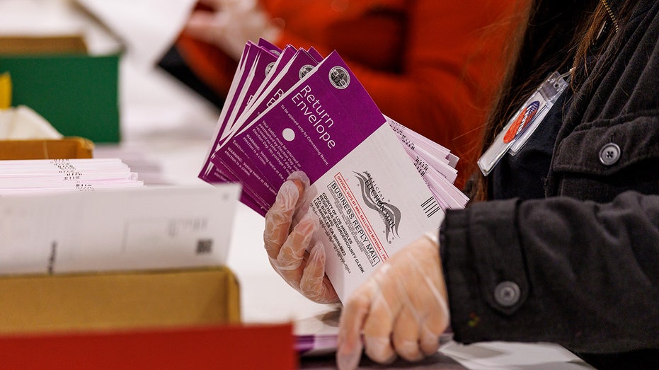 Election expert sounds alarm on how noncitizens are landing on voter rolls Election expert sounds alarm on how noncitizens are landing on voter rolls