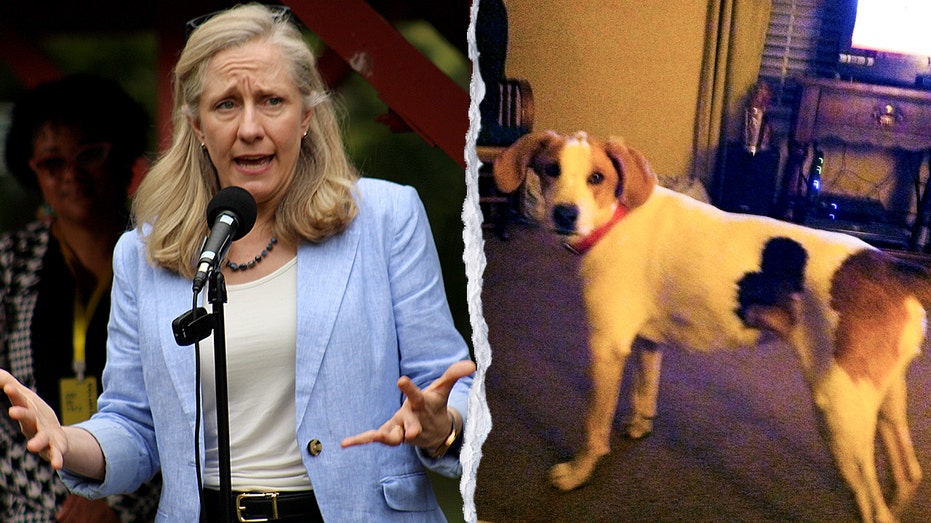 ‘Biscuit’ the dog is latest dead felon to get their voting rights back from Spanberger, confused owner says ‘Biscuit’ the dog is latest dead felon to get their voting rights back from Spanberger, confused owner says