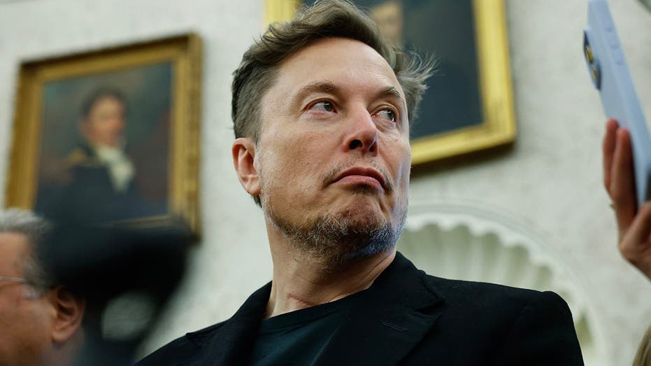 Musk issues dire warning over 3 moves Dems could make if they sweep Washington: ‘End of democracy’