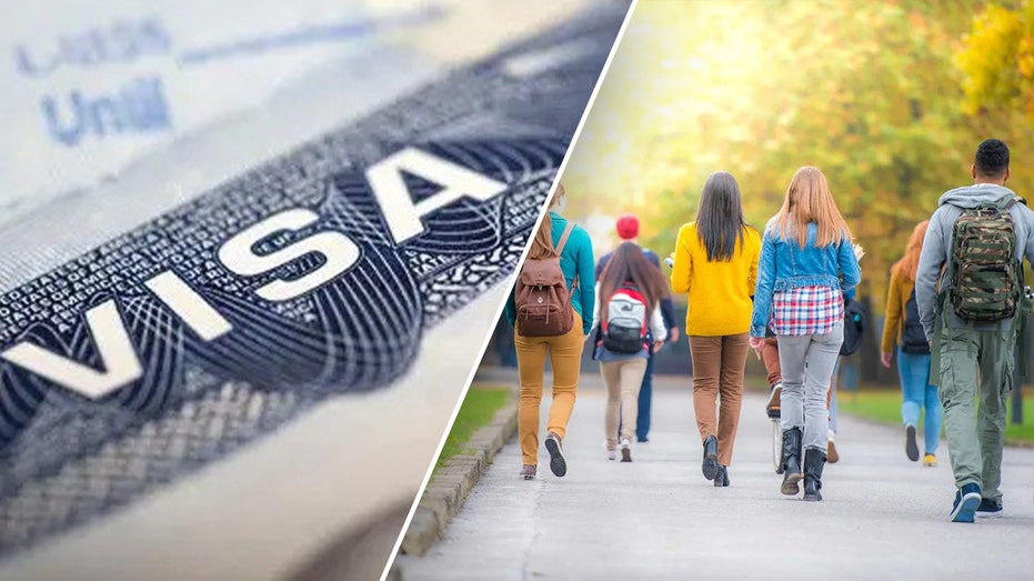 DHS proposes massive K fee for foreign students seeking work authorization DHS proposes massive K fee for foreign students seeking work authorization