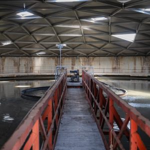 Can Texas lawmakers agree on how to spend billions to save the state’s water supply?