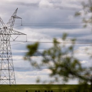 Texas lawmakers want to halt plan to build high-voltage transmission lines across the state