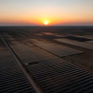 Texas solar program left in limbo after Trump administration pulls the plug on $250 million grant