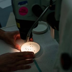 Texas public health departments brace for another $119 million in federal cuts