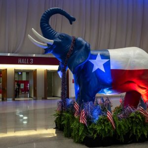 New red-leaning congressional seat in North Texas draws wide-open GOP primary field