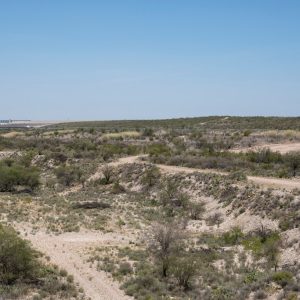 Texas officials say rodents and other small wildlife could be to blame for New World Screwworm infestations
