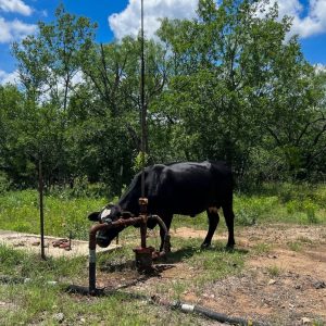 Study finds levels of a dangerous gas “off the scales” in Central Texas oilfield