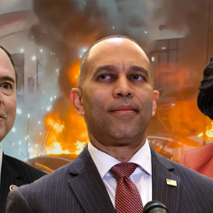 Dems who railed against domestic terrorism silent as Trump floats 20-year jail sentence for Tesla vandals