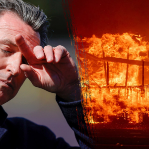 Gov. Newsom cut fire budget by $100M months before lethal California fires