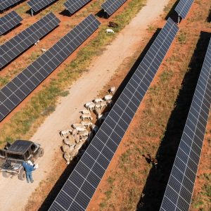 Renewable energy companies face little regulation in Texas. A state lawmaker wants to change that.