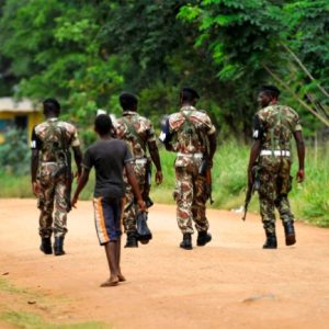 Ravaged by civil war, how a national park was restored in Mozambique