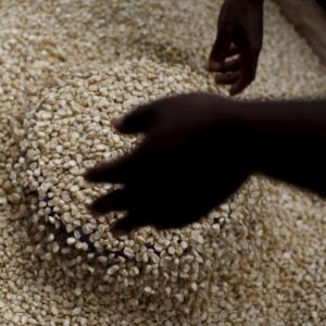 ‘We need our bananas back’: Traders left in limbo amid Malawi-Tanzania spat