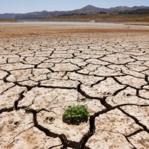 ‘Godfathers of climate chaos’: UN chief calls for ban on fossil fuel ads