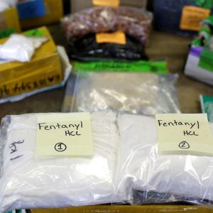 As fentanyl crisis evolves, experts say US is still ‘behind the eight ball’