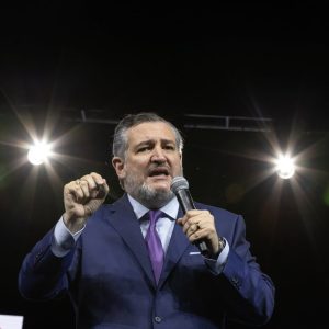 Ted Cruz, Secret Service leader tangle at Senate hearing over assassination attempt motive