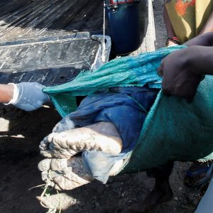 Kenya police vow ‘transparent’ probe into dismembered female bodies