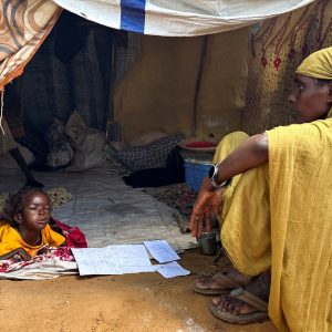 Sudan war to enter third year as RSF assaults in Darfur intensify