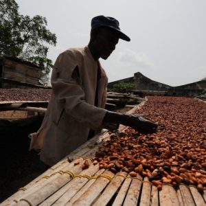 Bitter truth: Why has chocolate become so expensive?