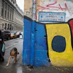 Romania’s top court annuls results of presidential election’s first round