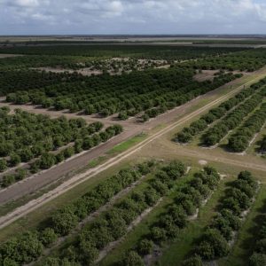 Texas’ congressional delegation wants Trump to punish Mexico for missing key water deadline