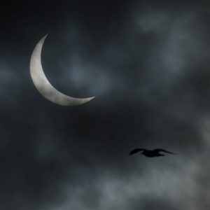 Skygazers marvel at Saturday’s partial solar eclipse