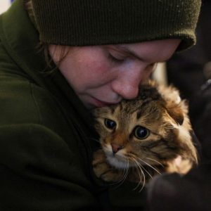 Russia-Ukraine war: List of key events, day 1,132