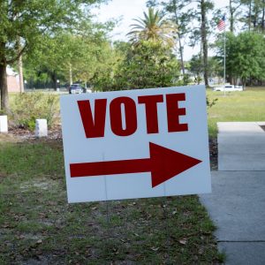 Trump loyalist who pushed false election claims takes on government role