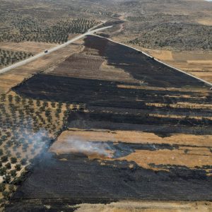 Israel is proceeding with annexation, and there is only one way to stop it