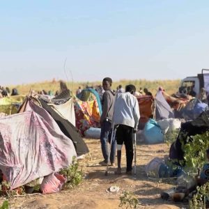 Humanitarian disaster worsens across Sudan after RSF takes over el-Fasher