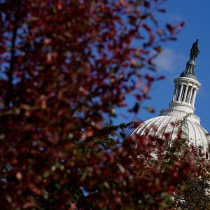 US Senate passes bill to end longest ever government shutdown