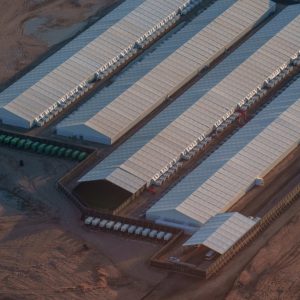 Two cases of tuberculosis detected at El Paso ICE facility