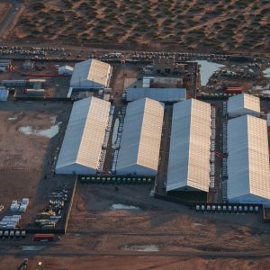 Doctors say woman in El Paso ICE detention center urgently requires surgery that she is being denied
