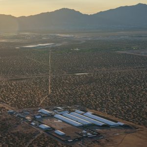 Migrants held at Fort Bliss suffering physical abuse, unsafe conditions, human rights groups claim