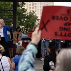 This newly drawn Houston district could unearth tensions between Democrats of color